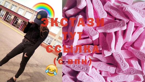 шишки Аркадак