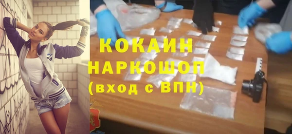 шишки Аркадак