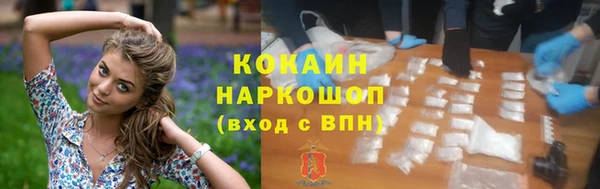 шишки Аркадак