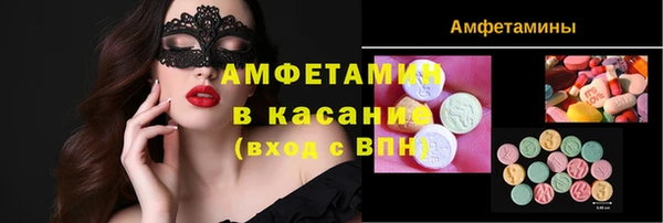 шишки Аркадак