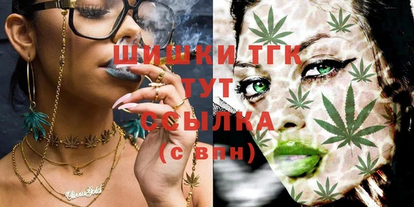 амф Осинники