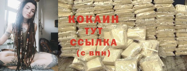 шишки Аркадак