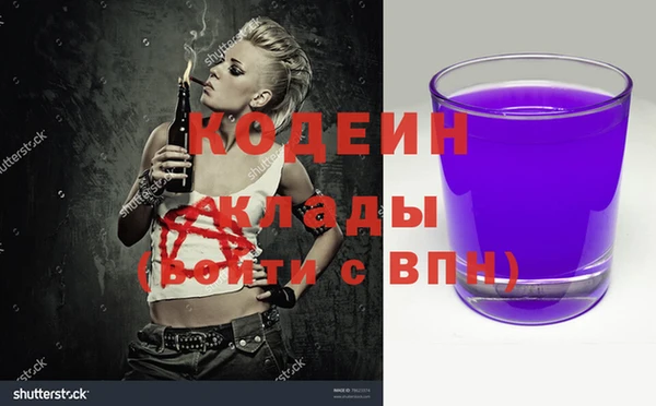 шишки Аркадак