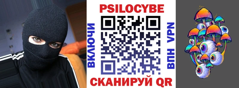 Псилоцибиновые грибы Cubensis  Новоалтайск 